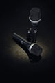 AKG D5 mic